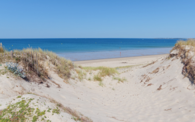 Naturist strande i Nordjylland