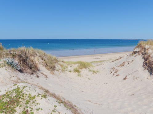 Naturist strande i Nordjylland